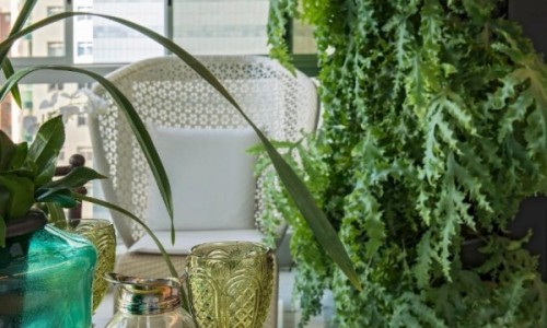 Projeto - Myrna Porcaro