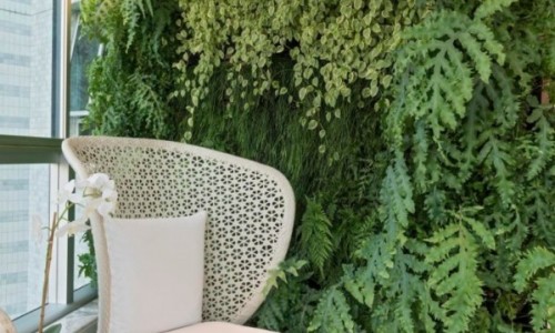 Projeto - Myrna Porcaro