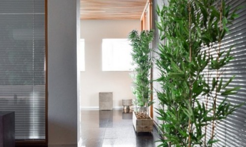 Projeto - Carlos Alberto Maciel e Alexandre Brasil