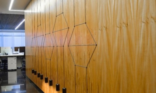 Projeto - Carlos Alberto Maciel e Alexandre Brasil