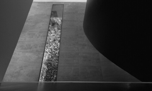 Residência - Riviera
Projeto: Carlos Alberto Maciel