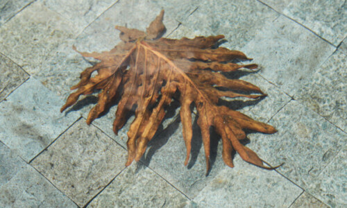 Residência - Riviera
Projeto: Carlos Alberto Maciel